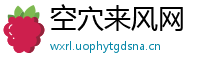 空穴来风网